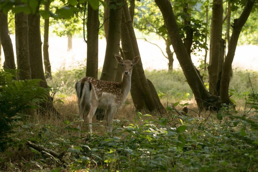 Vrijvakantiehuis Duinweg 2B Oostkapelle Buitenkant foto